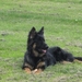 jethro 19-05-2008