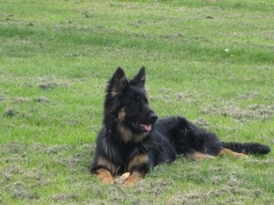 jethro 19-05-2008