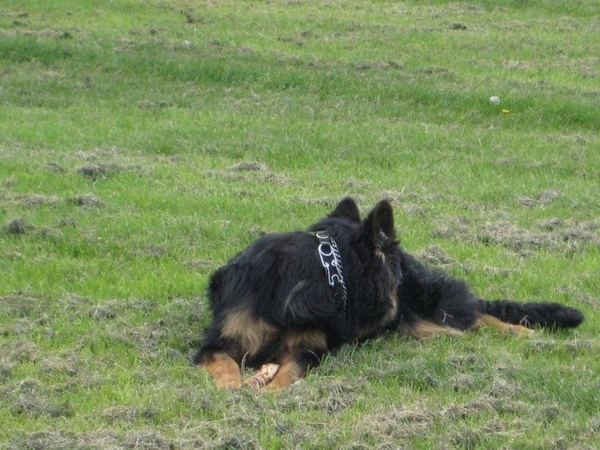 jethro 19-05-2008