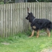 jethro 19-05-2008