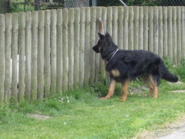 jethro 19-05-2008