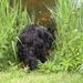 jethro 19-05-2008