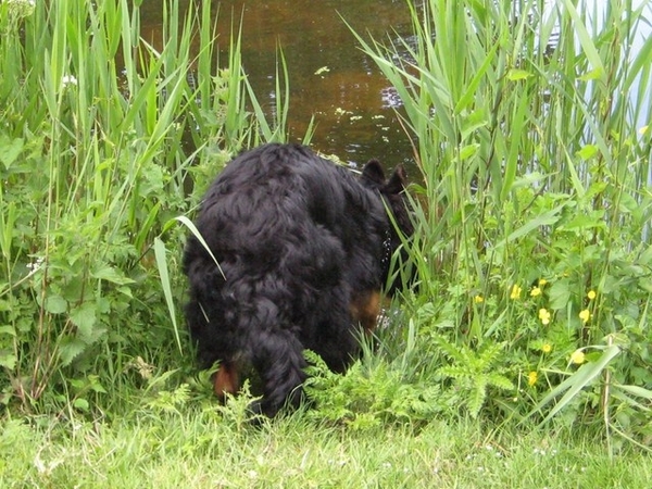 jethro 19-05-2008