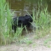 jethro 19-05-2008