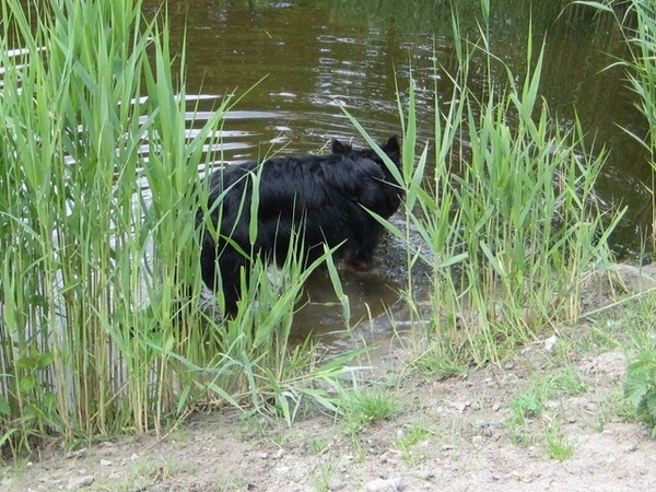 jethro 19-05-2008