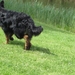 jethro 19-05-2008