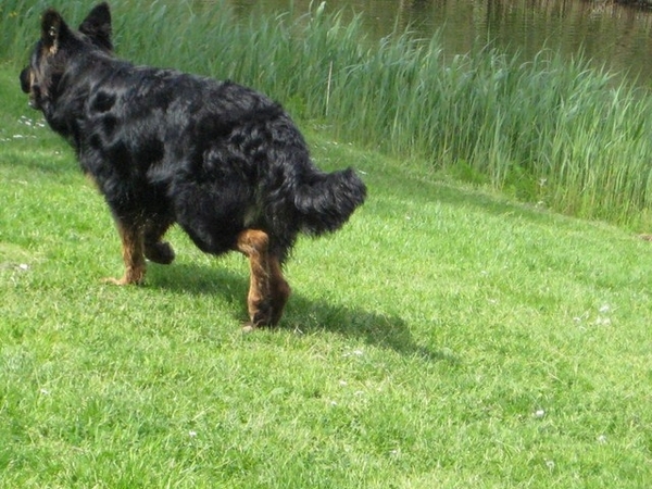 jethro 19-05-2008