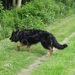 jethro 19-05-2008