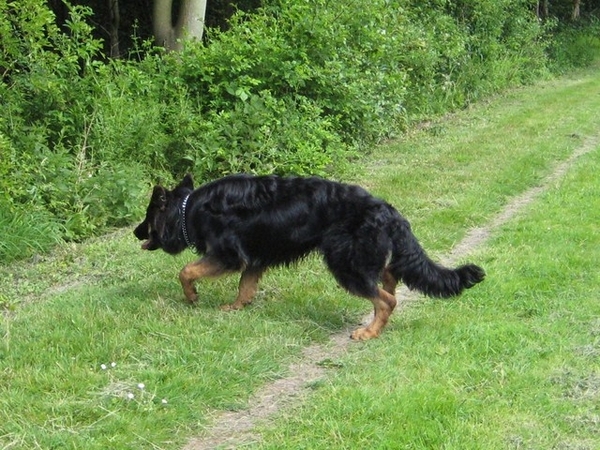 jethro 19-05-2008