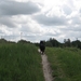 jethro 19-05-2008