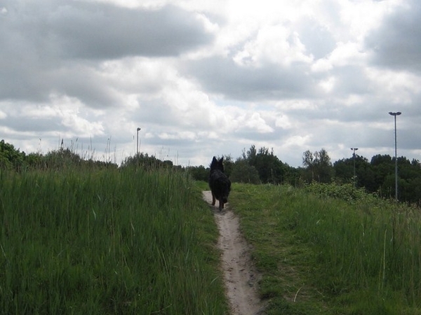 jethro 19-05-2008