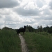 jethro 19-05-2008