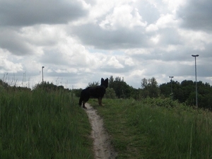 jethro 19-05-2008