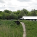 jethro 19-05-2008