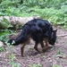 jethro 19-05-2008