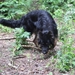 jethro 19-05-2008