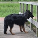 jethro 19-05-2008