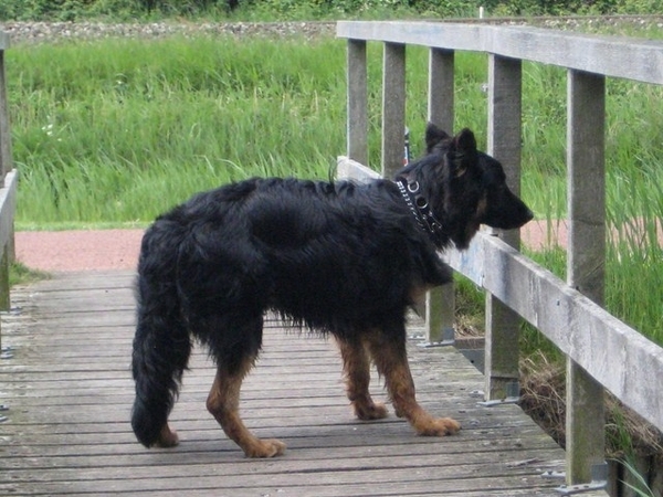 jethro 19-05-2008