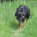 jethro 19-05-2008