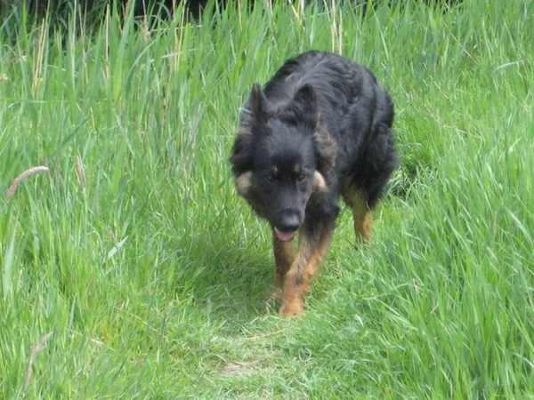 jethro 19-05-2008