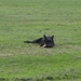 jethro 19-05-2008