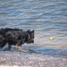 jethro 2-05-2008
