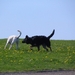 jethro 2-05-2008