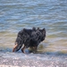 jethro 2-05-2008