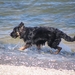 jethro 2-05-2008