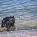 jethro 2-05-2008