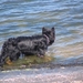 jethro 2-05-2008