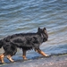 jethro 2-05-2008