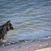 jethro 2-05-2008