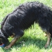 jethro 21-05-2008