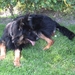 jethro 22-05-2008