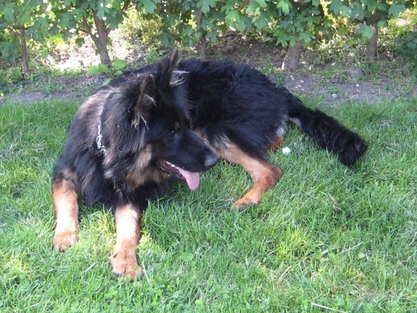 jethro 22-05-2008