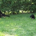 jethro & bo 22-05-2008