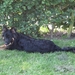 jethro 22-05-2008