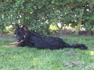 jethro 22-05-2008