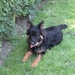 jethro 22-05-2008