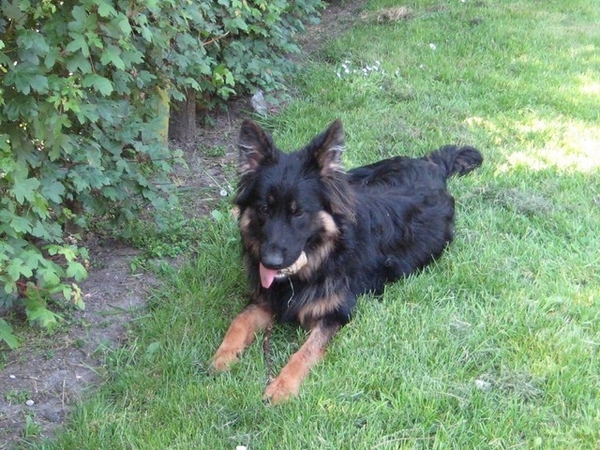 jethro 22-05-2008