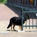 jethro 24-05-2008