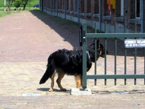 jethro 24-05-2008