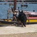 jethro 24-05-2008