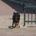 jethro 24-05-2008