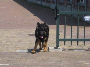 jethro 24-05-2008