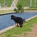 jethro 24-05-2008