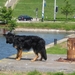 jethro 24-05-2008
