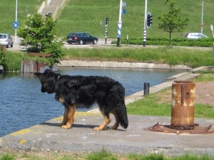 jethro 24-05-2008