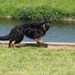 jethro 24-05-2008